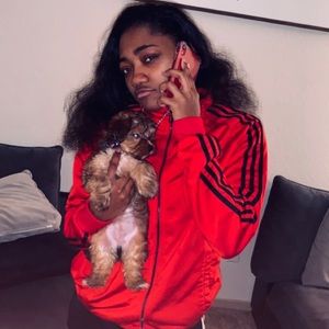 Meet your Posher, Fox